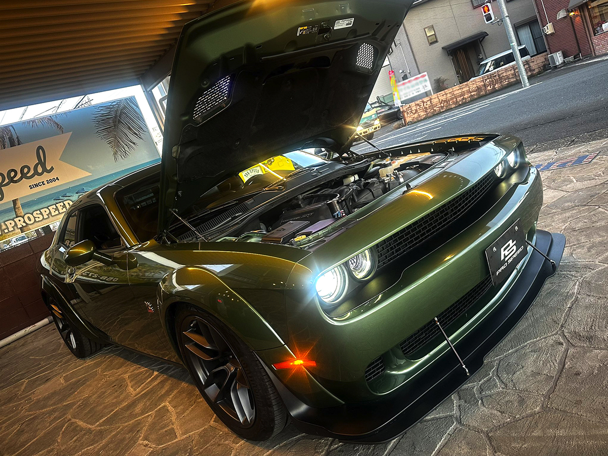 PROSPEED Work Report イメージ