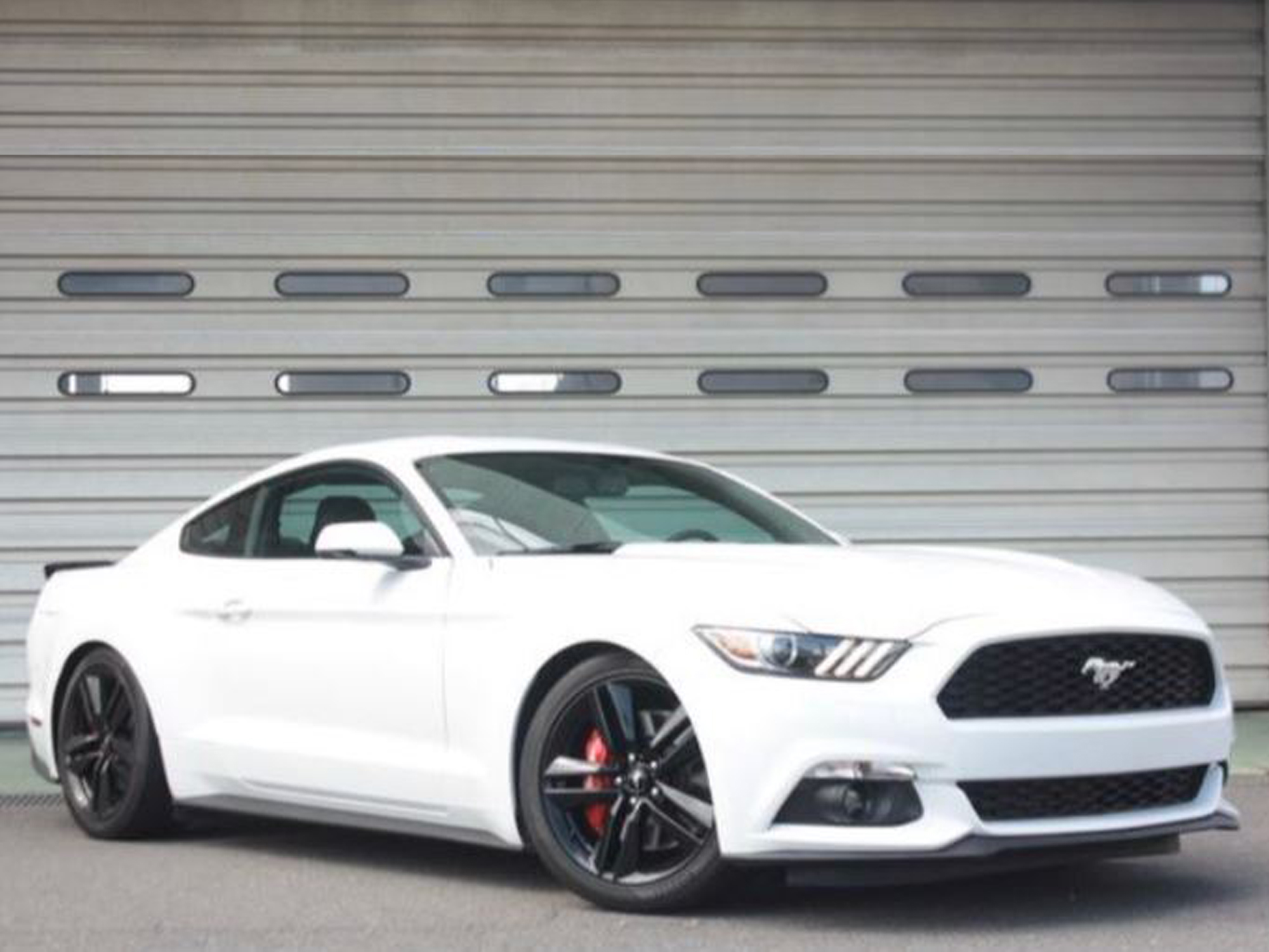 PROSPEED Work Report イメージ