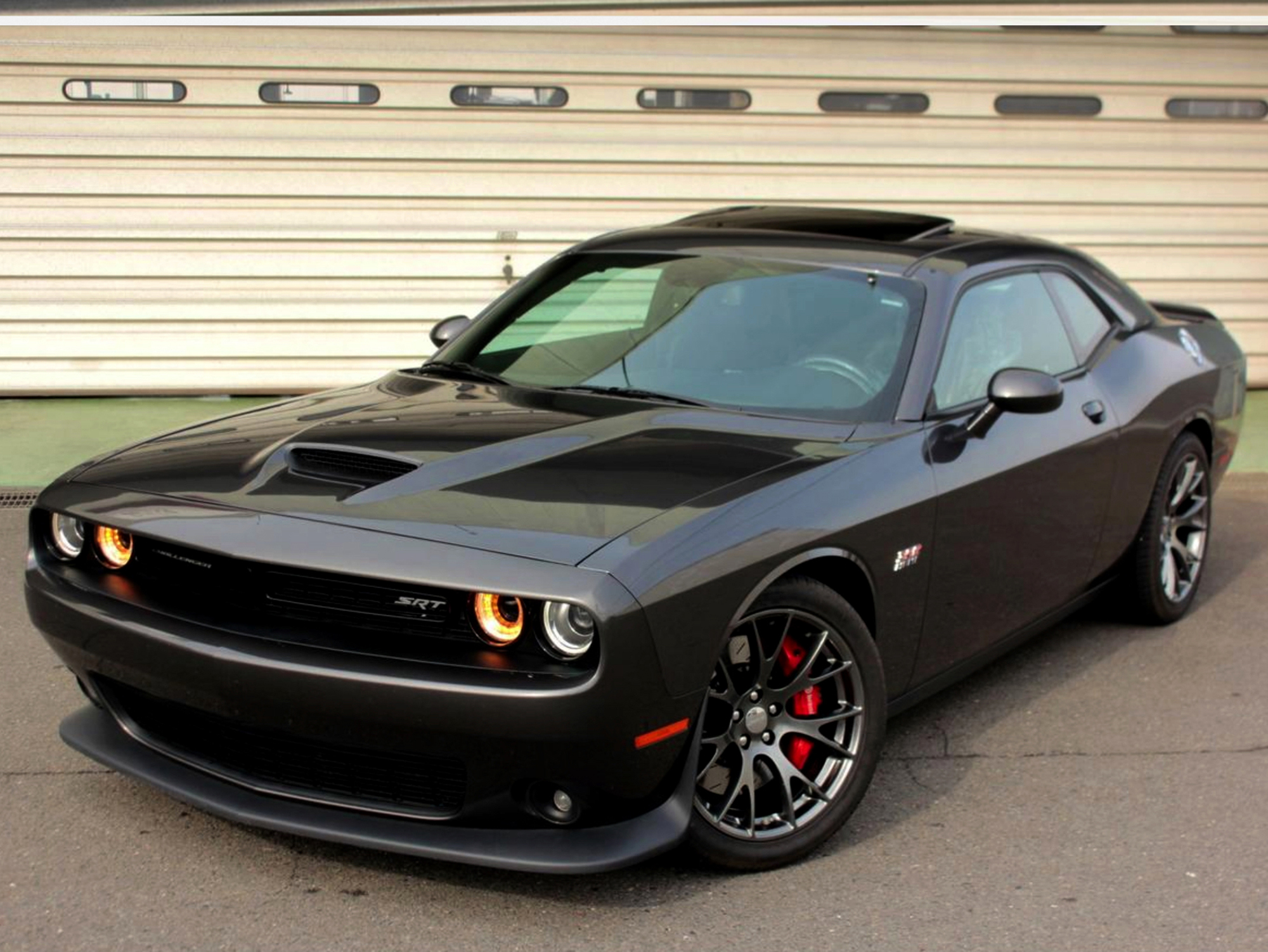 PROSPEED Work Report イメージ