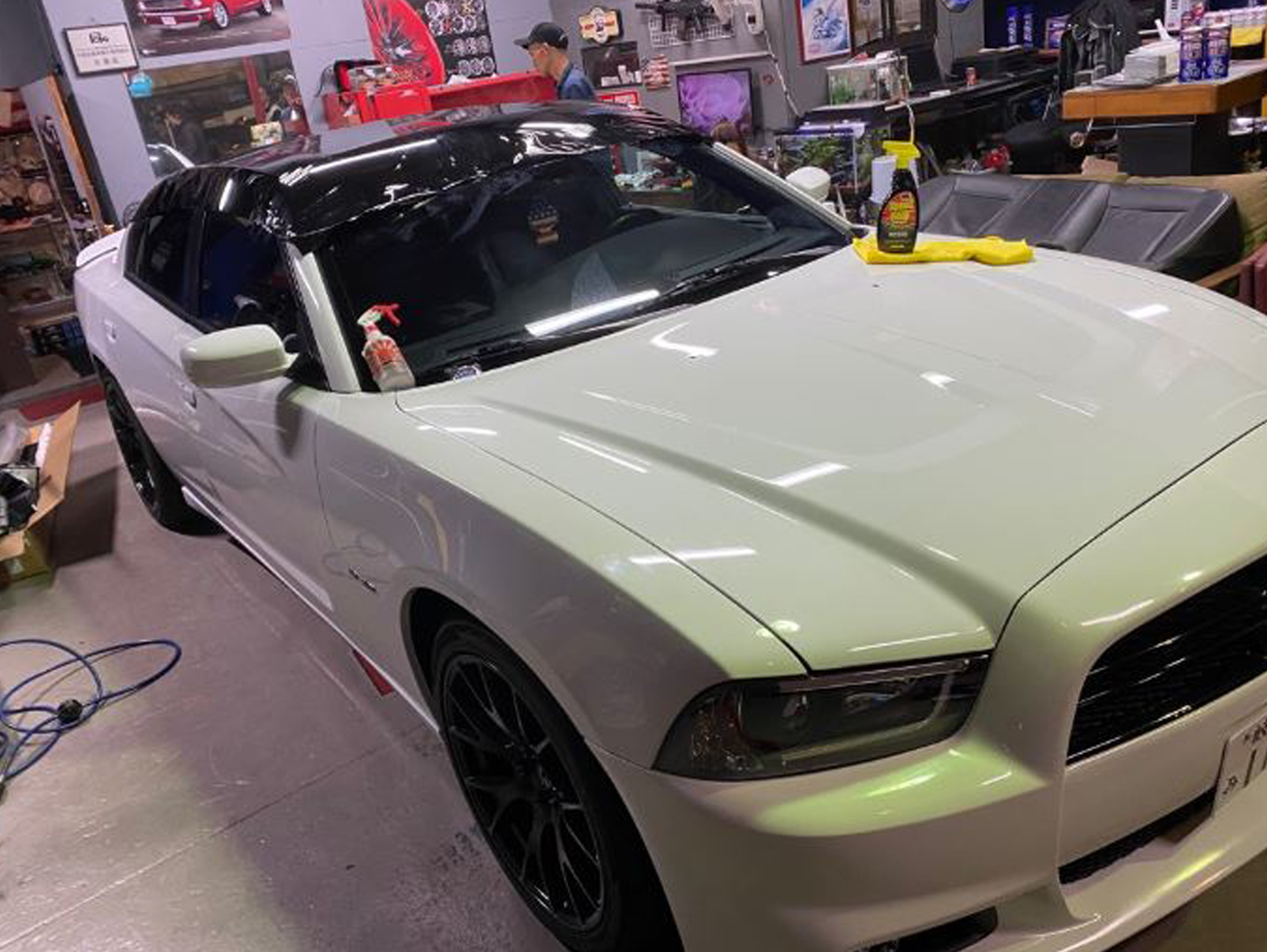 PROSPEED Work Report イメージ