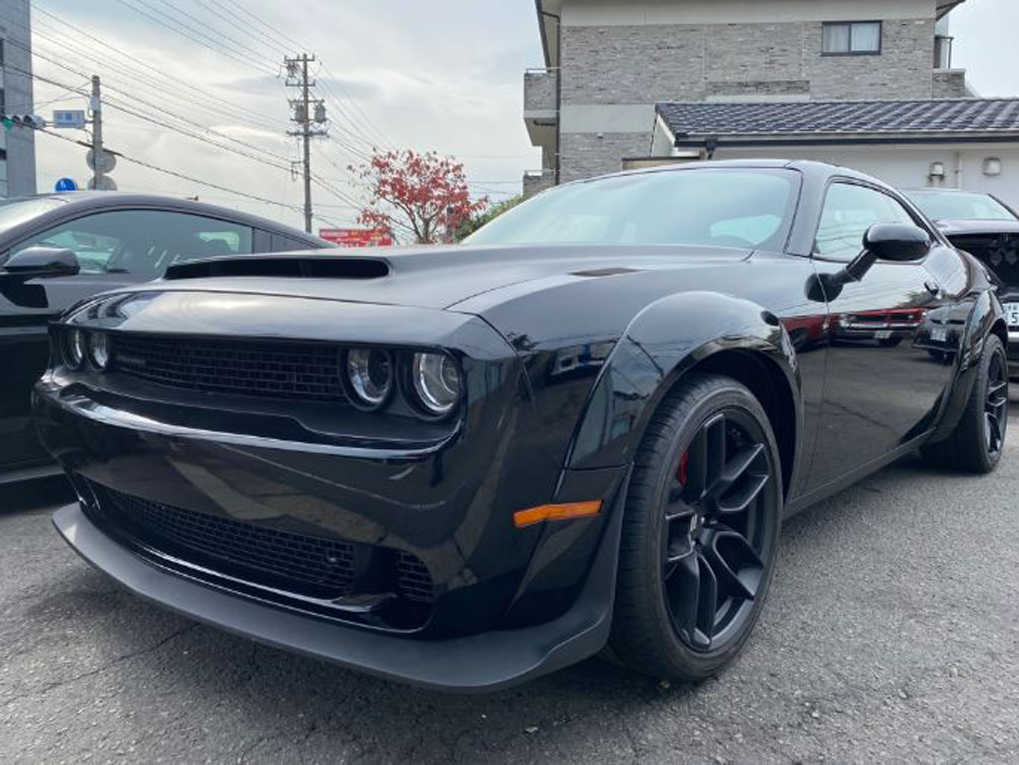 PROSPEED Work Report イメージ