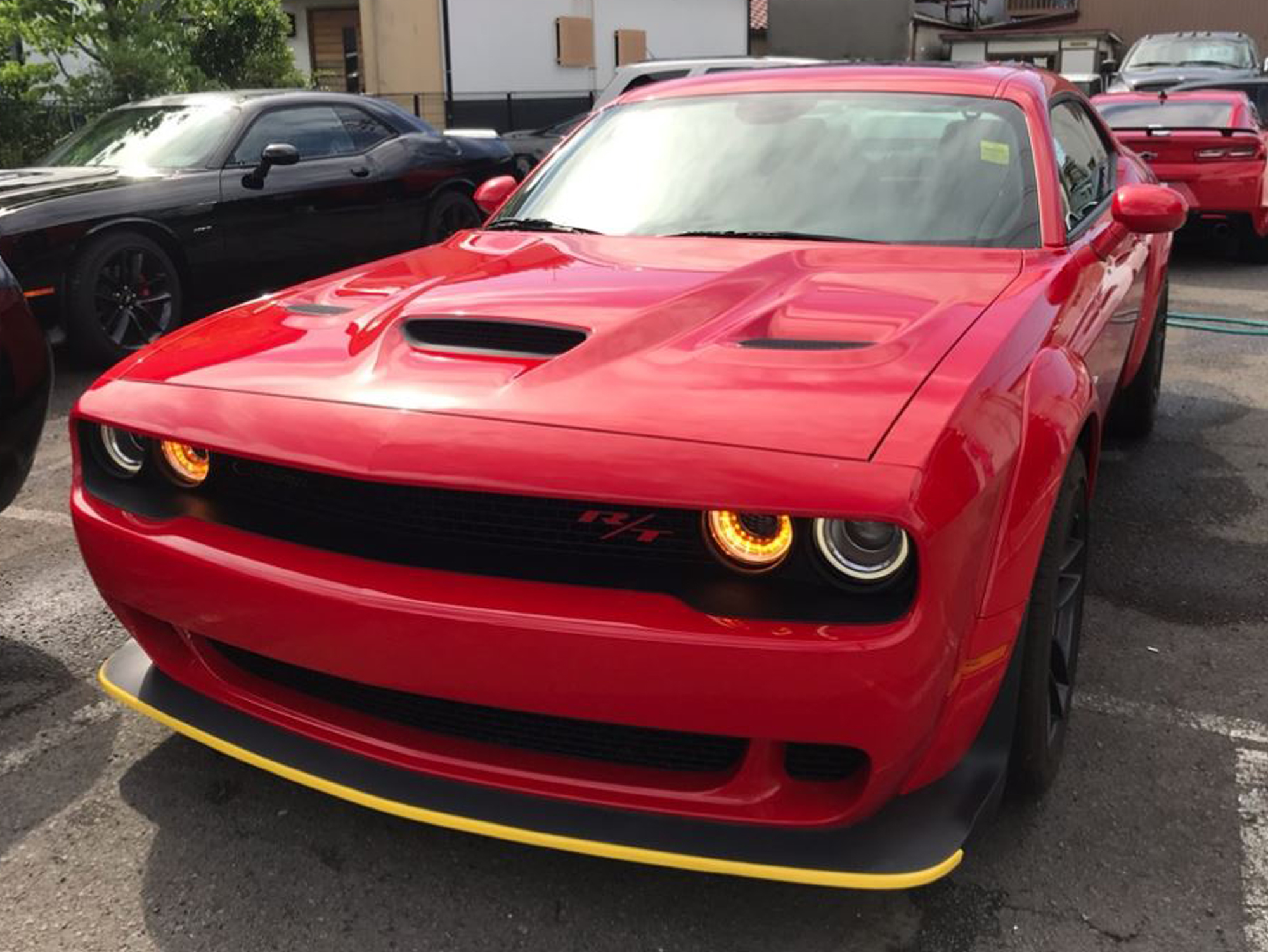 PROSPEED Work Report イメージ