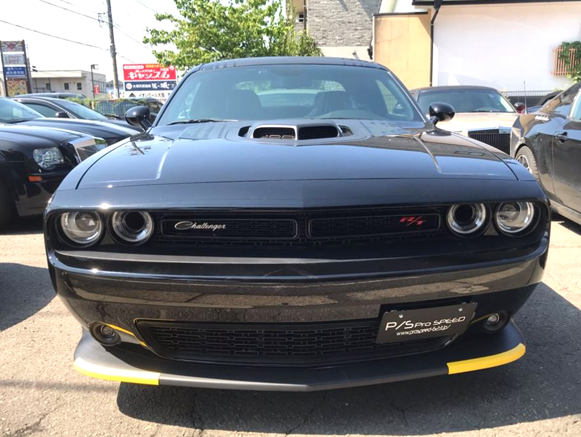 PROSPEED Work Report イメージ