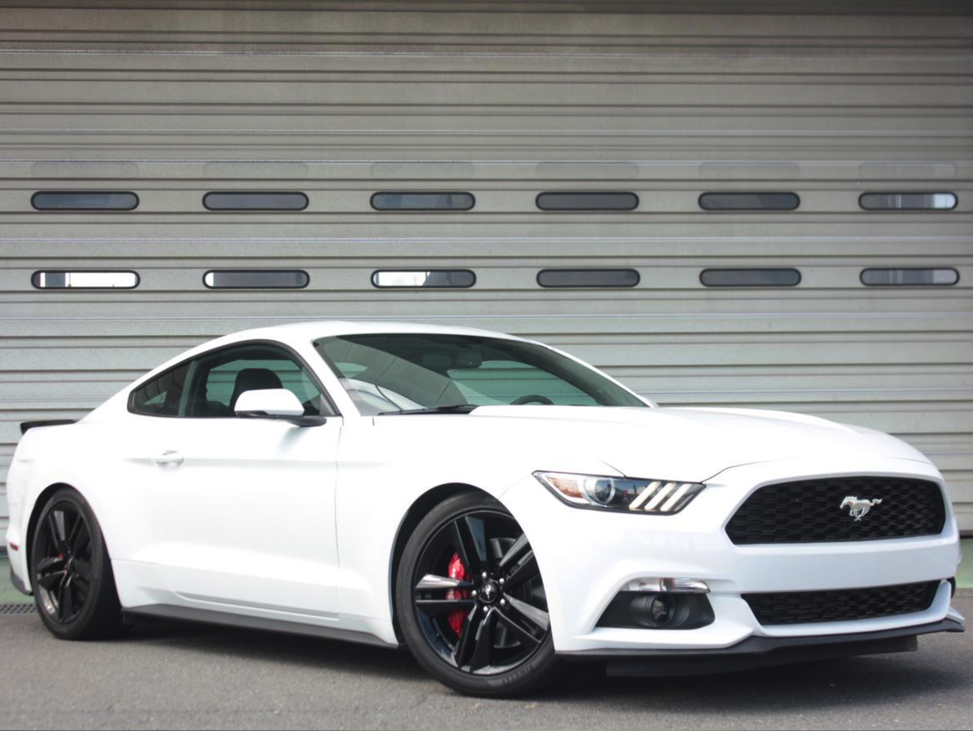 PROSPEED Work Report イメージ