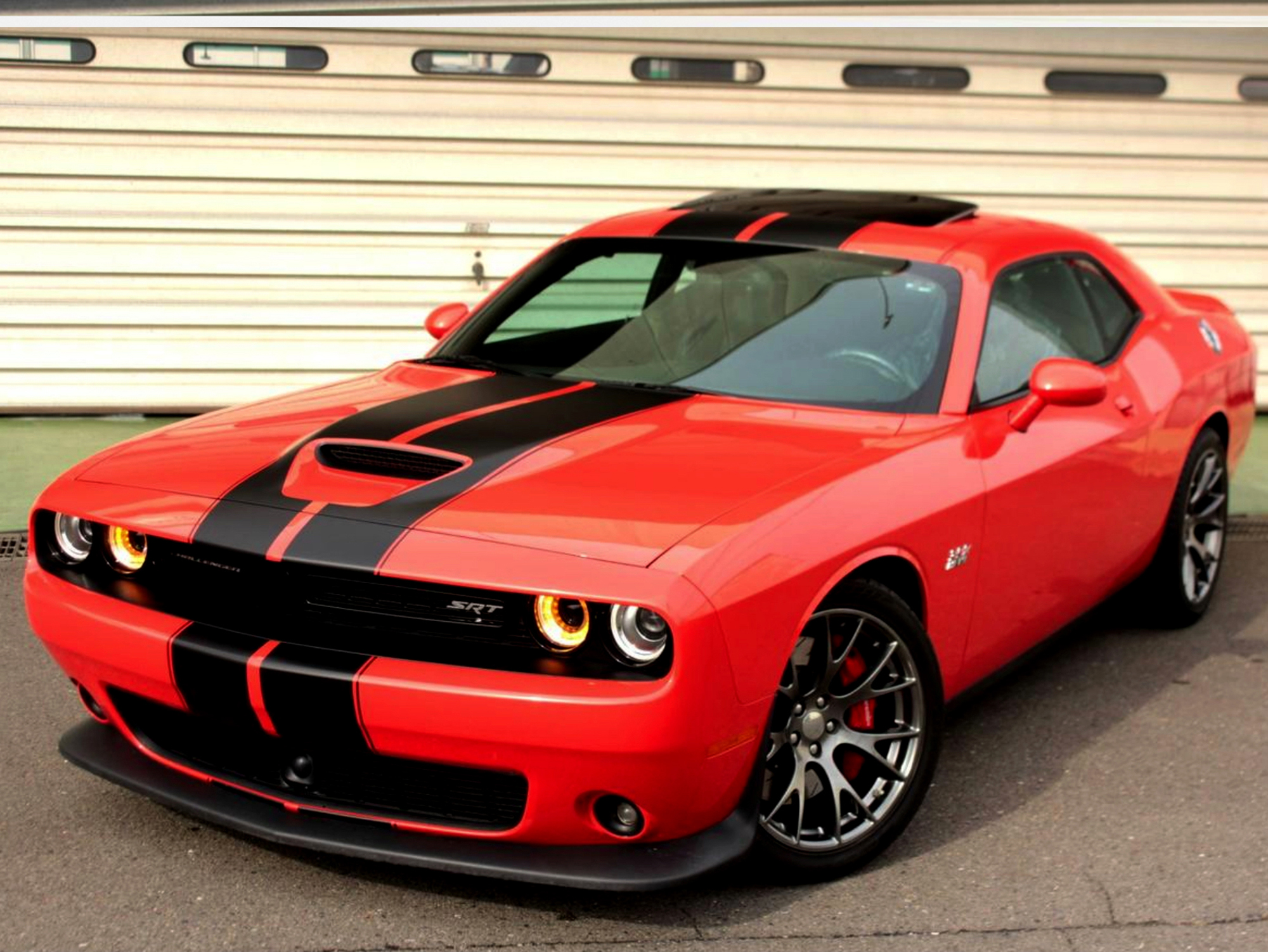 PROSPEED Work Report イメージ