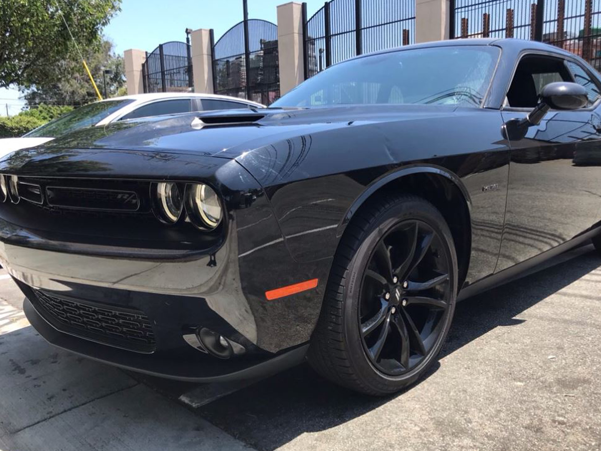 PROSPEED Work Report イメージ