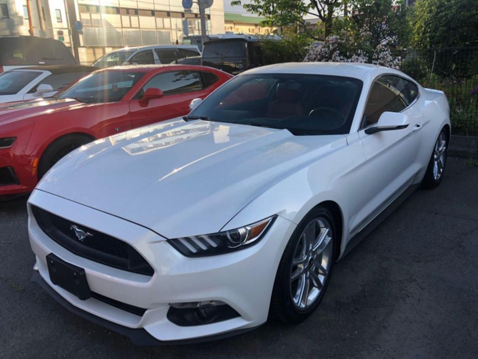 PROSPEED Work Report イメージ