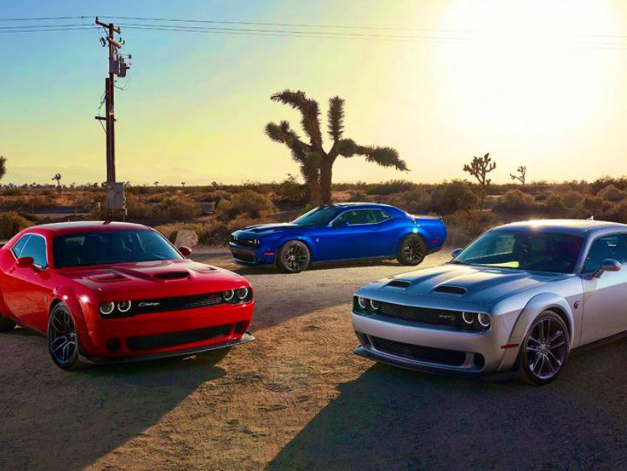 PROSPEED Work Report イメージ